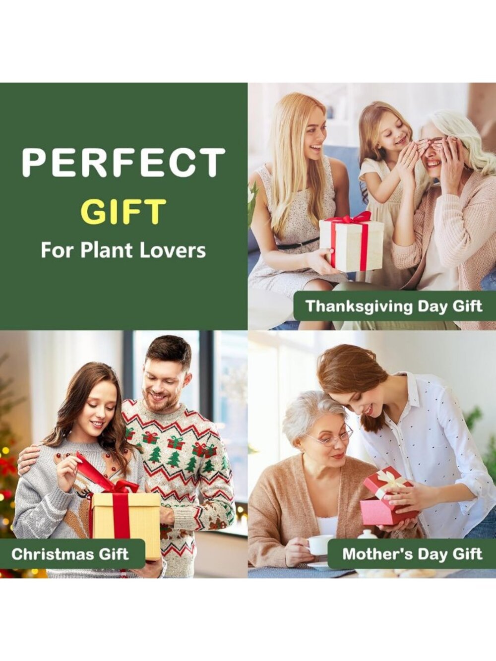 Complete Bonsai Tree Growing Kit - Perfect Gardening Gift for Plant Lovers - Picture 7 of 8